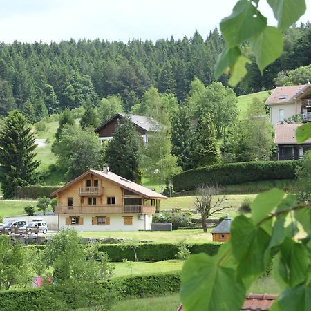 Chalet Centauree - Remy Herold Xonrupt-Longemer Eksteriør billede