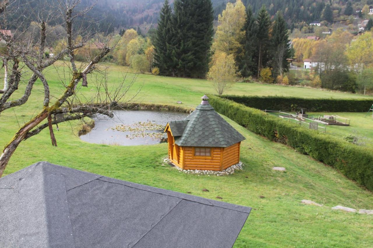 Chalet Centauree - Remy Herold Xonrupt-Longemer Eksteriør billede