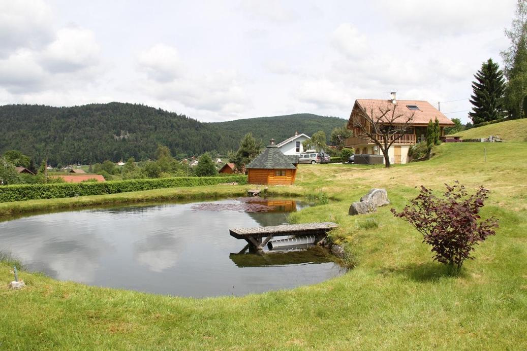 Chalet Centauree - Remy Herold Xonrupt-Longemer Eksteriør billede