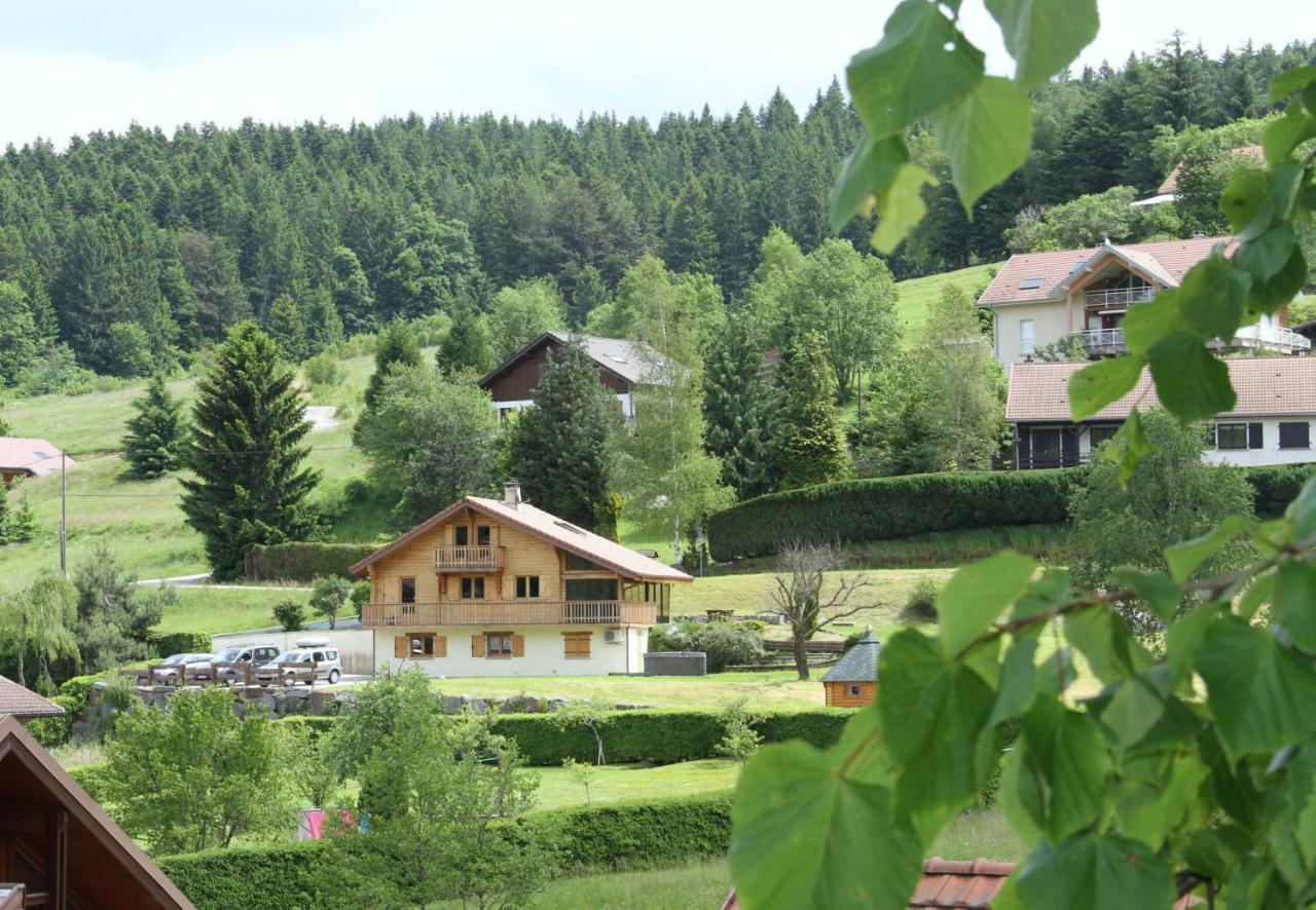 Chalet Centauree - Remy Herold Xonrupt-Longemer Eksteriør billede
