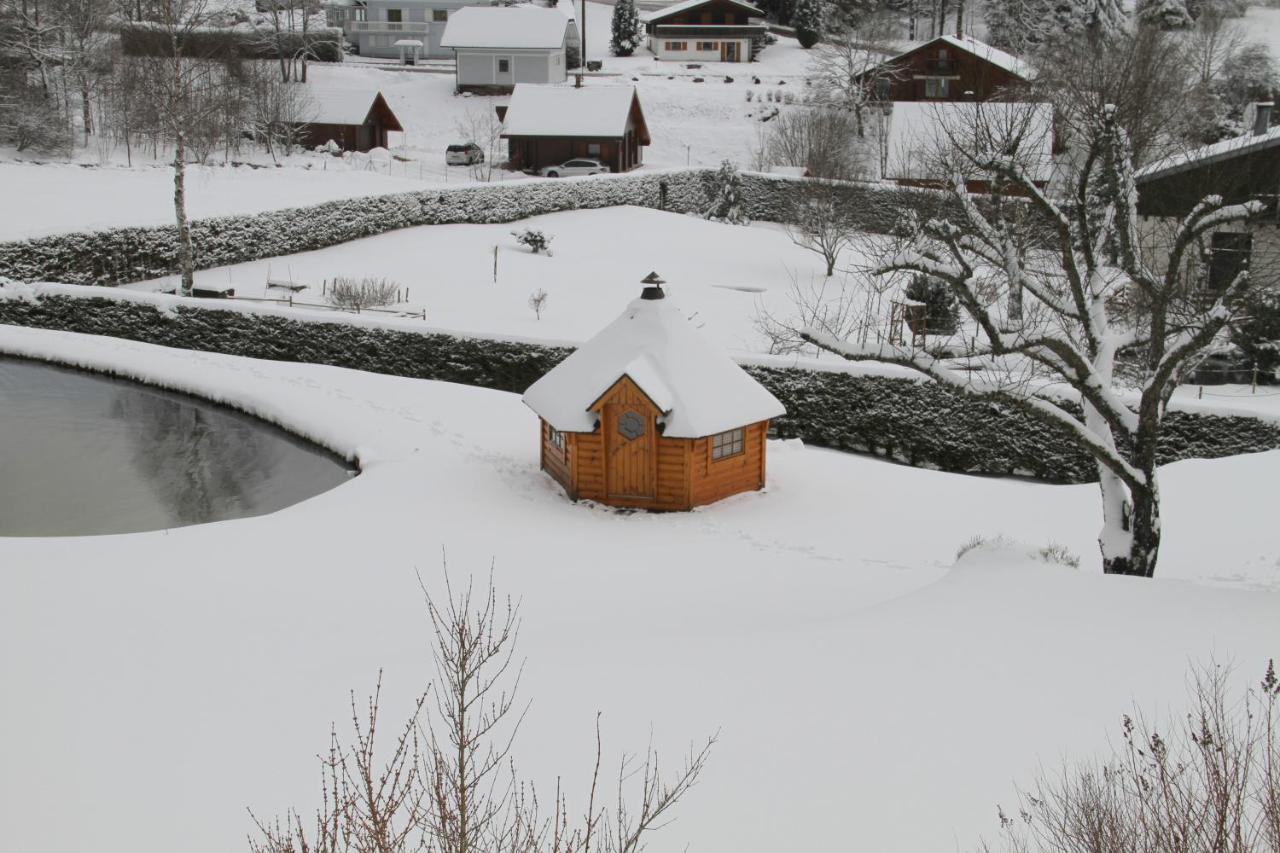 Chalet Centauree - Remy Herold Xonrupt-Longemer Eksteriør billede